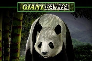 Discover Thrilling Online Slots: Your Gateway to Big Wins!